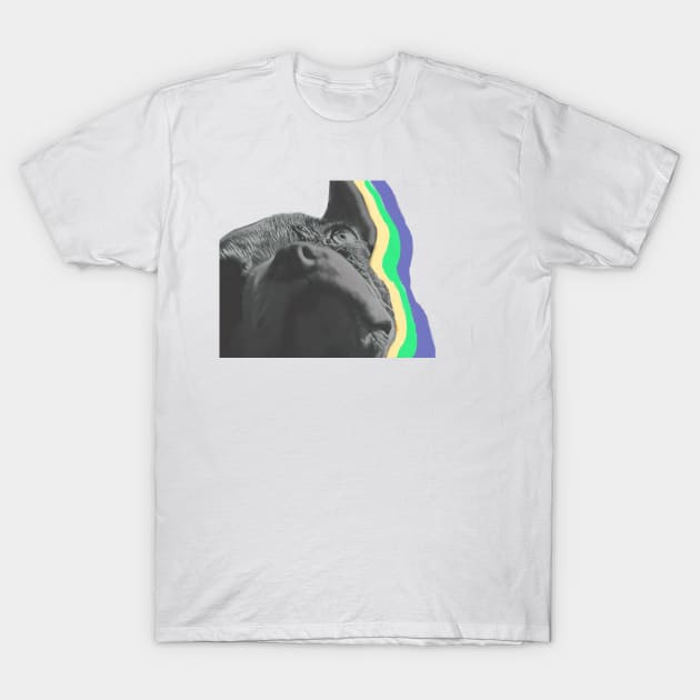 Echo Boston Terrier T-Shirt by GdotArroyo